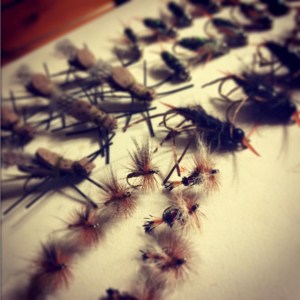 A little troutsnack party