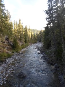 Is this the river of my dreams?  No seriously I found this pic and don't remember what river it is.