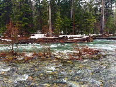 10379798_1212216302203207_7118428517229984201_o