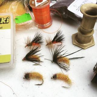 octobercaddismoresels